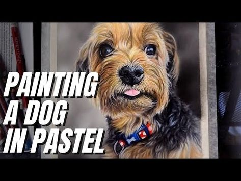 (4540) How To Paint a DOG in Pastel || Yorkshire Terrior Pastel Pencil Pet Portrait - YouTube Pastel Artwork, Pastel Pencils, Pet Portrait, How To Paint, Pet Portraits, Yorkshire, A Dog, Amber, Pencil