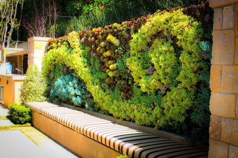 Known for being "self sufficient vertical gardens" living walls walls are popular for their beautiful and eco-friendly designs. Living walls can enhance a Wall With Plants, Vertical Garden Design, Living Walls, Pergola Design, Walled Garden, Succulent Wall, Traditional Landscape, Wall Garden, Garden Living