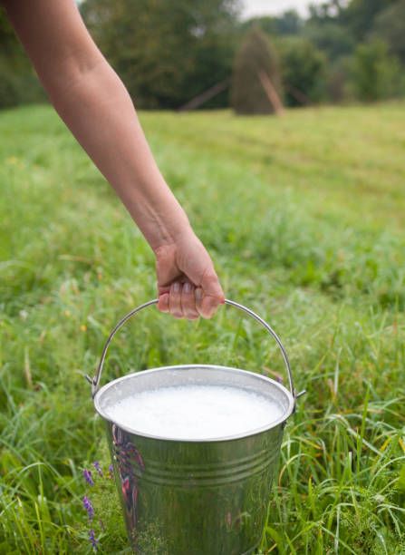 Holding Hands, Hold On, Milk, Google Search, Media