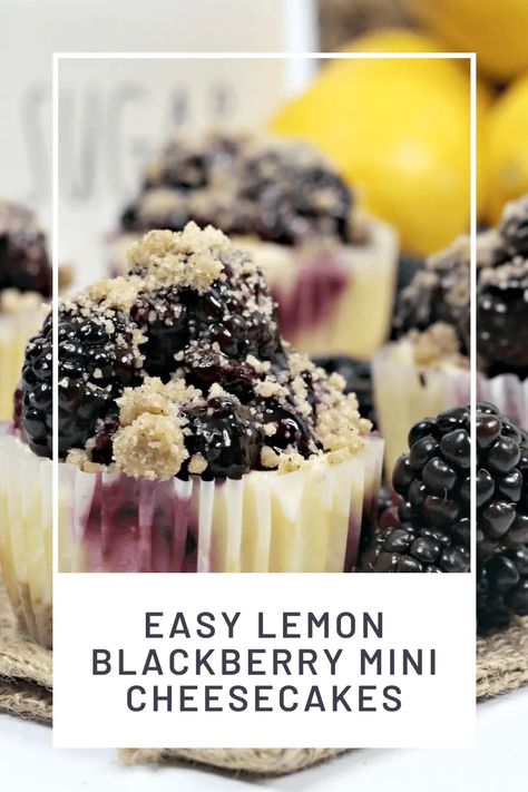 Easy Lemon Blackberry Mini Cheesecakes Easy Mini Cheesecakes, Blackberry Lemon, Mini Cheesecakes Easy, Blackberry Cheesecake, Lemon Cheesecake Recipes, Dessert From Scratch, Best Apple Pie, Strawberry Baby, Cheesecake Cupcakes