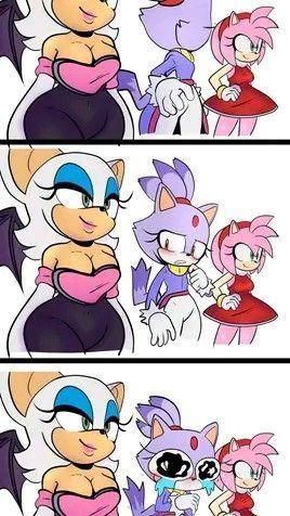 Funny Meme Pics, Shadow And Rouge, Sonic And Tails, Work Funny, Meme Pics, Rouge The Bat, Sonic Heroes, Sonic And Amy, Sonic Fan Characters