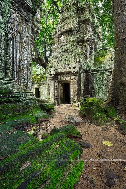 Ta Prohm temple, Cambodia (by Beboy_photographies on Flickr) Ta Prohm Temple, Ta Prohm, Angkor Wat Cambodia, Temple Ruins, Ancient Temples, Angkor Wat, Ancient Architecture, Ancient Ruins, Nature Photographs