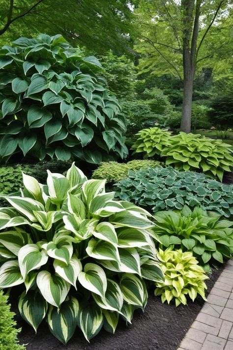 Got a shady garden spot? Shady Flower Bed Ideas, Shady Garden Ideas, Shade Plants Perennial, Part Shade Perennials, Shade Loving Plants, Plants For Shade, Shady Garden, Shade Garden Design, Landscaping Around Trees