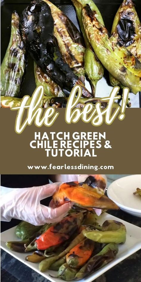 Hatch Pepper Recipes, Hatch Chili Peppers, Hatch Green Chili Recipe, Hatch Chili Recipes, Hatch Peppers, Hatch Chile Recipes, Hot Pepper Recipes, Hatch Green Chili, Hatch Chiles