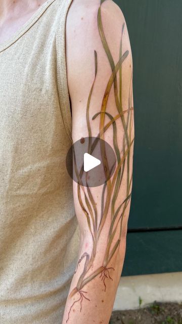 14K likes, 43 comments - grey.francis.tattoo am March 21, 2024: "Eelgrass on a marine biologist who has spent the last 18 years studying it! Eelgrass (Zostera marina) is a flowering plant with the same ..." Washington Tattoo, Pnw Tattoo, Portland Tattoo, Seattle Tattoo, Marine Biologist, March 21, Tattoo On, I Tattoo, Dolphins