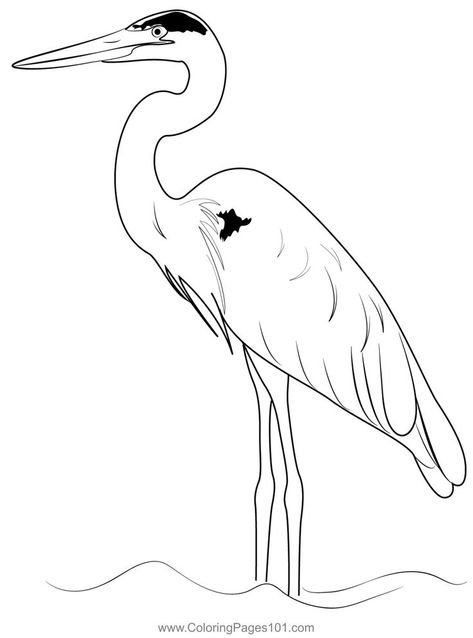 Blue Heron Coloring Page Herons, Blue Heron, Free Kids, Printable Coloring Pages, Printable Coloring, Coloring Pages For Kids, Coloring Page, Free Printable, Moose Art