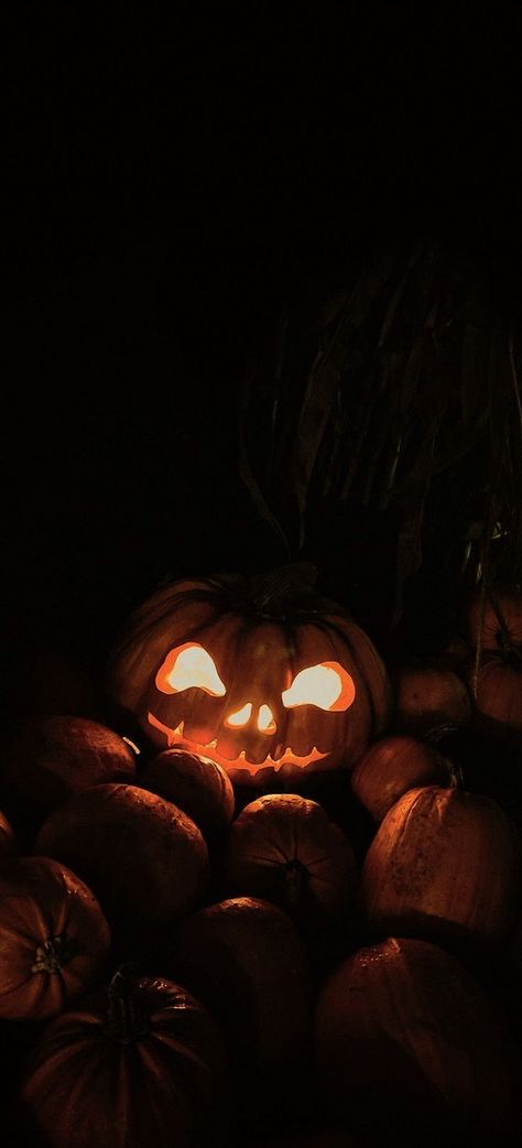 Fall Halloween Aesthetic Wallpaper Iphone, Helloween Wallpaper Aesthetic Dark, Halloween Aesthetic Phone Wallpaper, Halloween Wallpaper Grunge, Halloween Fall Aesthetic Wallpaper, Helloween Wallpaper Iphone, Fall Spooky Wallpaper, Halloween Wallpaper Spooky Season, Aesthic Halloween Wallpaper