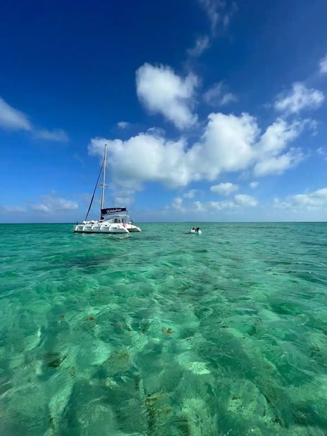 SEAductressLuxury Day Sail & Snorkel | Belize Adventure Tours with Seaduced by Belize Belize Cruise Port, Caye Caulker, Ambergris Caye, Beach Bbq, Coral Garden, Dinner Cruise, Snorkeling Gear, Beach Adventure, Sunset Cruise