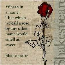 Famous Shakespeare Quotes, Romeo And Juliet Quotes, Quotes Literature, Juliet Rose, Romeo Und Julia, Name Quotes, William Shakespeare Quotes, Rose Quotes, Romeo Y Julieta