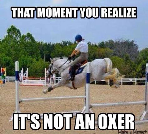 It's not an oxer | equestrian problems Equestrian Memes, Equine Quotes, Funny Horse Memes, Horse Memes, Horse Quotes Funny, Funny Horse Videos, Horse Jokes, Funny Horse Pictures, Horse Riding Quotes