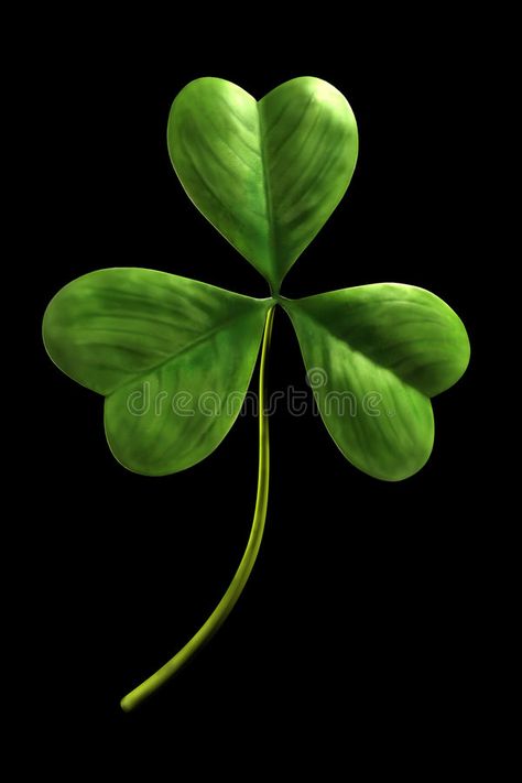 Clover Tattoos, Three Leaf Clover, Leaf Images, Tatting Patterns, Celtic Art, Outdoor Quotes, Animals Art, Template Ideas, Pre School