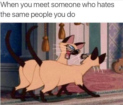 31 Fresh Memes To Wrap Up Your Day - Gallery Humor Disney, Gatos Cool, True Memes, Disney Memes, E Card, Disney Funny, Really Funny Memes, Animal Memes, Funny Laugh