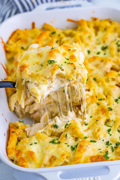 Best Grilled Pork Chops, Creamy Chicken Alfredo, Pasta Casseroles, Alfredo Casserole, Tuna Dishes, Panini Recipes Chicken, Chicken Alfredo Casserole, Favorite Casserole Recipes, Alfredo Bake