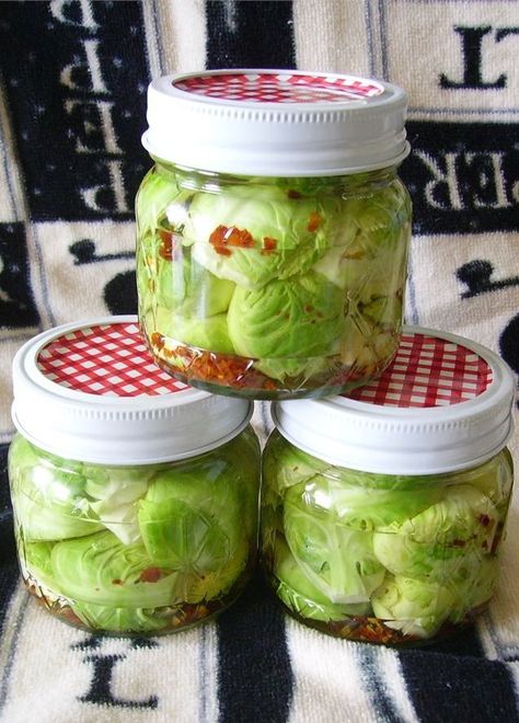 Canning Brussel Sprouts Not Pickled, Canned Brussel Sprouts, Pickled Brussel Sprouts Recipes, Canning Brussel Sprouts, Pickled Brussels Sprouts Recipe, Pickled Brussel Sprouts, Pickled Things, Pickled Recipes, Pickled Fruit