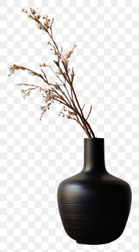 Wabi Sabi Plants, Vase Png, Plant Architecture, Jewelry Store Interior, Vase With Branches, Graphic Icons, Vase Plant, Table Top View, Baby Boy Room Decor