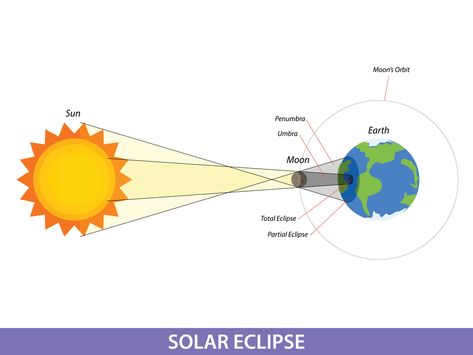 Download the Diagram showing Solar eclipse on earth illustration 11950847 royalty-free Vector from Vecteezy for your project and explore over a million other vectors, icons and clipart graphics! Earth Illustration, Tree Saw, Heart Tree, Cityscape Photos, Logo Banners, Heart With Arrow, Solar Eclipse, Background Banner, Text Effects