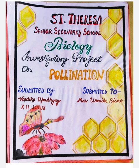 Project on Pollination class 12 Biology Investigatory Project Class 12, Pollination Project, Biology Project, Investigatory Project, Heading Design, School Science Projects, Biology Projects, Senior Secondary School, Front Page Design