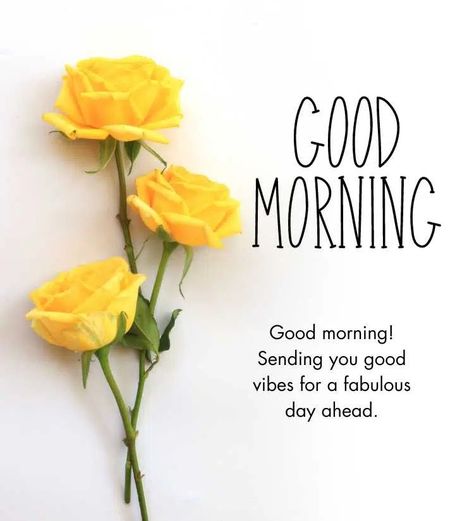 30+ Beautiful Good Morning Yellow Rose Images Good Morning Yellow Flowers, Good Morning Rose Images, Beautiful Good Morning Images, New Good Morning, Good Morning Tea, Love Good Morning Quotes, Positive Good Morning Quotes, Beautiful Good Morning, Good Morning Sweetheart Quotes