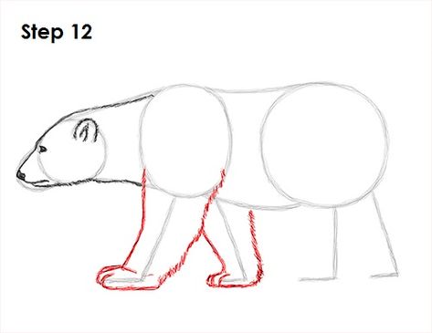 Polar Bear Drawing 12 Bear Cartoon Drawing, Draw A Polar Bear, Polar Bear Video, Bear Video, Polar Bear Drawing, Polar Bear Cartoon, Bear Sketch, Winter Art Lesson, Walk Cycle