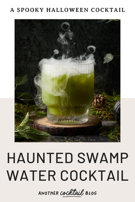 Step into the murky depths of the bayou with this haunted swap water cocktail. Made with homemade green juice, gin, Chartreuse and matcha and served with dry ice, this bubbling green cocktail is perfect for a spooky Halloween celebration. Vegan Halloween Cocktails, Swamp Water Cocktail, Green Halloween Cocktail, Glowing Cocktails, Spooky Mocktail Recipe, Beetlejuice Cocktail, Green Alcoholic Drinks, Forest Cocktail, Homemade Green Juice