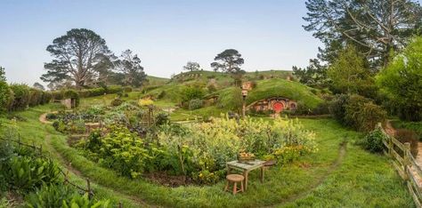 ❤ the red door Hobbiton New Zealand, Cube World, Hobbit Hole, Hobbit House, Dream Cottage, The Shire, Pretty Landscapes, Geodesic Dome, Red Door