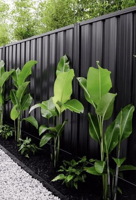 a black metal fence with a garden bed and tropical plants are a refined and chic combo for a modern tropical garden Modern Tropical Garden, Fence Landscaping Ideas, Black Metal Fence, Tropical Backyard Landscaping, Indoor Oasis, Tropical Garden Design, Enchanting Garden, Tropical Backyard, Pool Landscape Design