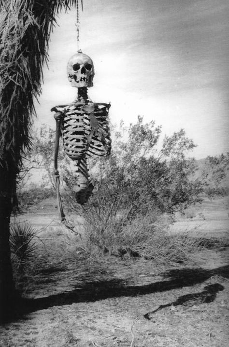 Hanging skeleton. Rozz Williams, Scary Places, Skeletal, Skull And Bones, Memento Mori, Dia De Muertos, Vintage Halloween, Dark Side, Dark Art