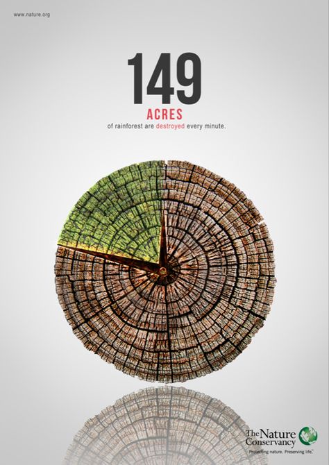 149 acres of rainforest are destroyed every minute! THE GREEN INFERNO, in theaters September 25th. #SaveTheInferno Afforestation Poster, Deforestation Poster, One Picture Million Words, Green Inferno, Motivational Pictures With Deep Meaning, Save Earth Posters, Environmental Posters, Nature Magazine, Earth Day Posters