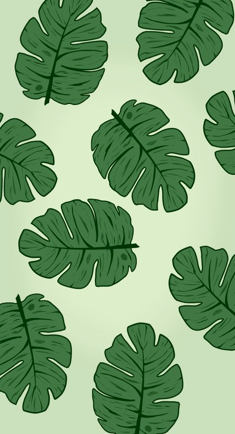 Green Leaf Wallpaper Aesthetic, Plant Pattern Wallpaper, Green Leafs Aesthetic, Monstera Wallpaper Aesthetic, School Ipad Wallpaper, Monstera Plant Wallpaper, Leaf Phone Wallpaper, Monstera Plant Aesthetic, Monstera Background