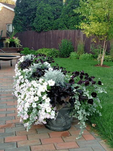 Porch Planter Ideas, Pot Arrangements, Small Yard Landscaping, Tanaman Pot, Fantasy Garden, Container Garden Design, Porch Planters, Flower Baskets, Container Gardening Flowers