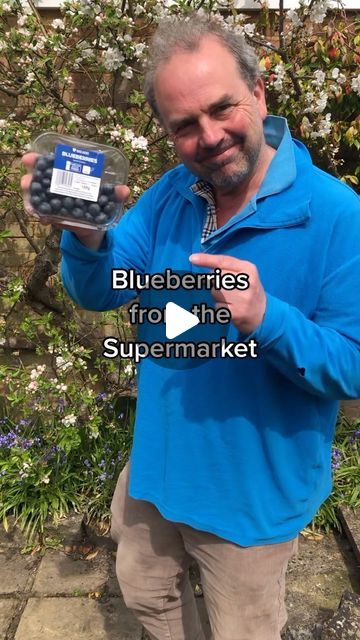 89K views · 12K likes | Simon Akeroyd on Instagram: "Blueberries need acidic soil so use ericaceous compost. Ask at a garden centre if you are not sure. 

Remember to water blueberries with rainwater as tap water can be slighlty alkaline. 

Enjoy your blueberries 😍

#fruitgrowingforbeginners #gardeningforbeginners #growyourown #growblueberries #blueberries #simonakeroyd" Blueberry Planting Ideas, Growing Blueberries From Seed, Seedling Setup, Compost Garden, Grow Blueberries, Blueberry Gardening, Acidic Soil, Growing Blueberries, Berry Garden