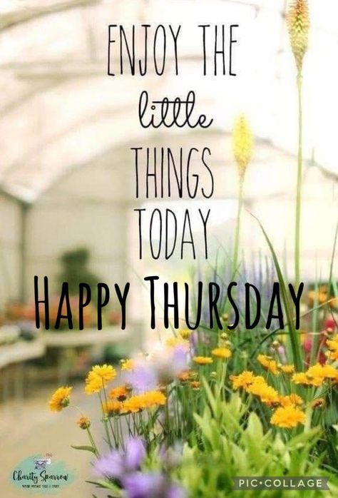 Scentsy Thursday, Thursday Morning Images, Happy Tuesday Morning, Thursday Greetings, Good Morning Happy Thursday, Happy Thursday Quotes, Good Morning Thursday, Good Morning My Friend, Thursday Quotes