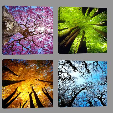 Tree Painting Canvas, Painting Picture, Seasons Art, Tree Canvas, Photo Tree, Landscape Pictures, Colorful Landscape, Pictures To Paint, Tree Painting