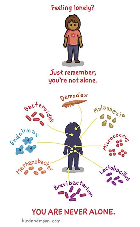 You are never alone - science memes Microbiology Humor, Biology Jokes, Lab Humor, Biology Humor, Nerdy Jokes, Nerdy Humor, Science Geek, Science Nerd, Nerd Humor