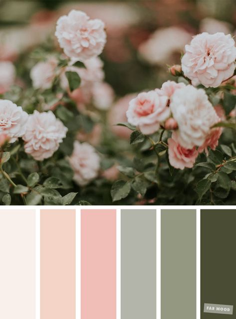 What Color Compliments Sage Green, Spring Theme Color Palette, Sage Green Blush Color Palette, Pastel Contrast Colour Palettes, Blush Colour Palette Wedding, Wedding Spring Colour Palettes, Sage Green And Blush Pink Wedding Colour Palettes, Complimenting Colors Colour Palettes, Spring Color Palette Pastel