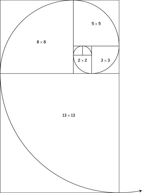 Architecture Composition, Trin For Trin Tegning, Tato Geometris, Artistic Composition, Logarithmic Spiral, Golden Section, Istoria Artei, Spiral Art, Golden Spiral