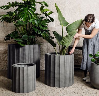 Extra Large Outdoor Planters, Architectural Aesthetic, Large Garden Pots, Extra Large Planters, Concrete Plant Pots, Planting Pots, Planter Design, Outdoor Pots, The Balcony