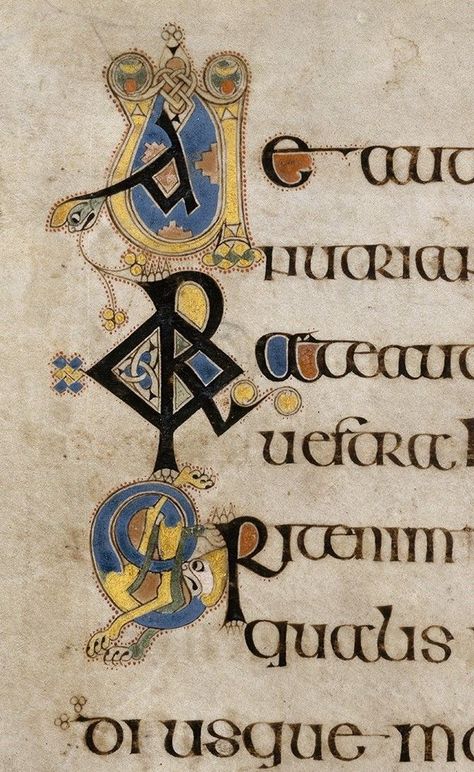 Book Of Kells Art, Celtic Letters, The Book Of Kells, Celtic Artwork, Artists Book, Ancient Scripts, Trinity College Dublin, Irish Mythology, Illumination Art