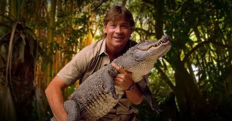 Documentary series captivate viewers with an exclusive look into the beauty and mystery of the natural world through the eyes of the animal kingdom. Steve Irwin Costume, Terri Irwin, Happy Birthday Steve, Irwin Family, Crocodile Hunter, Wildlife Rehabilitation, Vans Warped Tour, Steve Irwin, Hairstyle Names