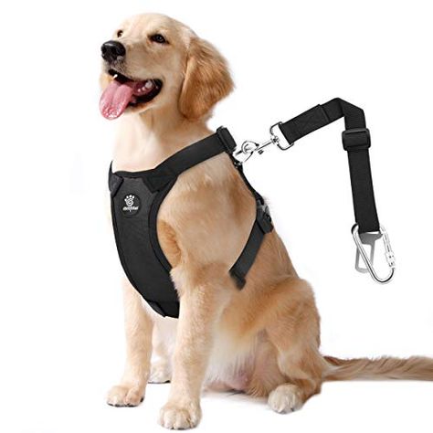 Best Dog Seat Belts and Car Harnesses For 2022 - Forbes Wheels Dog Car Harness, Car Harness, Dog Seat Belt, Walking Harness, Dog Seat, Dog Vest Harness, Safety Vest, Dog Car Seats, Dog Safety