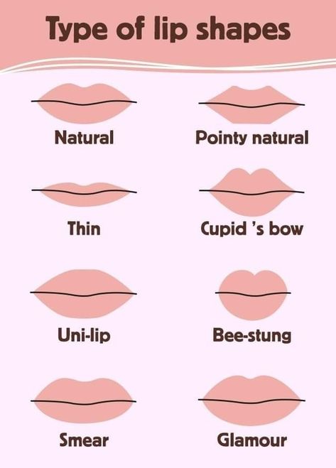 Lip Sizes Chart, Different Kinds Of Lips, Types Of Lips Shape, Types Of Lips, Description Ideas, Lip Types, Lips Shape, Character Features, Aesthetic Nurse