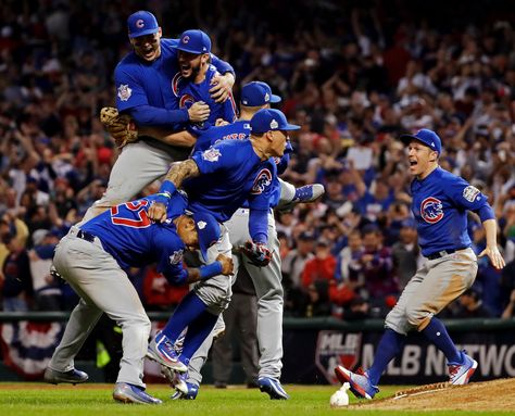 Chicago Cubs World Series, Chicago Sports Teams, Cubs Win, Go Cubs Go, Chicago Cubs Baseball, American Games, Cubs Baseball, Chicago Sports, Sports Images