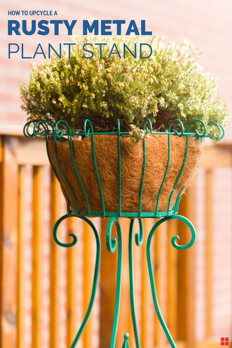 Have a rusty old plant stand? Give it a vibrant new outlook with Rust-Oleum Stops Rust. This rich gloss jade pops on any porch, patio or deck! Apply it to indoor or outdoor planters, pots, plant stands and metal furniture. This  protective spray paint will keep it looking new through summer, fall, winter and spring. Outdoor Metal Plant Stands, Gardening Crafts, Rusty Garden, Metal Flower Pots, Rust Removal, Iron Planters, Porch Planters, Patio Planters, Garden Stand