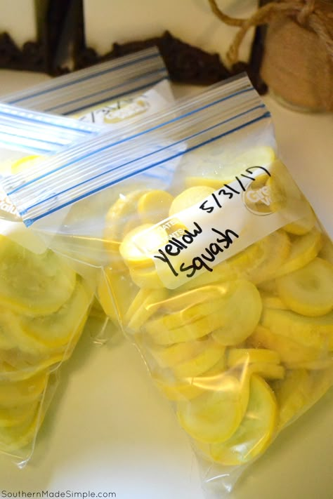 How to Freeze Yellow Squash - Southern Made Simple Dehydrating Yellow Squash, How To Store Squash And Zucchini, How To Put Up Squash In Freezer, Freezer Squash Recipes, How To Freeze Squash From The Garden, Vegetables That Freeze Well, Freezing Zucchini And Yellow Squash, How To Preserve Summer Squash, Freezing Fresh Vegetables