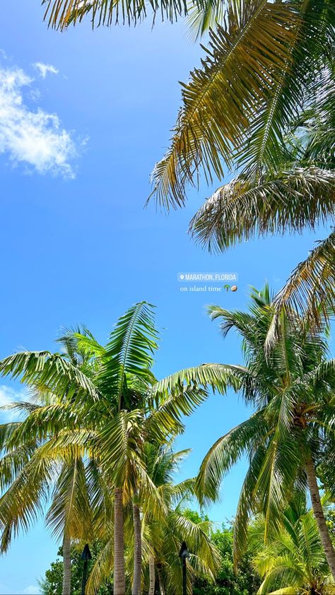 Island Pics Aesthetic, Tropical Island Picture Ideas, Vacation Filler Pictures, Aesthetic Vacation Photos, Vacation Aesthetic Instagram Story, Instagram Story Vacation Ideas, Beach Instagram Stories Aesthetic, Beach Vacation Instagram Stories, Hawaii Story Instagram