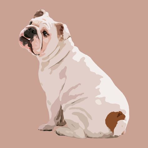 English Bulldog Aesthetic, Bulldog Aesthetic, Aesthetic Vector, Bulldog Watercolor, English Bulldog Art, Bulldog Clipart, Dog Portraits Art, Wpap Art, Pet Illustration