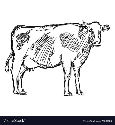 Cow Drawing Easy, Doodles Hand, Cow Sketch, Cow Tattoo, Cow Vector, Cow Illustration, Cow Drawing, Sketches Doodles, Cow Art