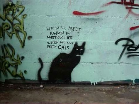 we will meet again in another life...... when we are both cats In A Another Life, Graffiti Spray Can, Street Art Utopia, Street Cat, Street Cats, Best Graffiti, Vanilla Sky, Graffiti Artwork, Black Cat Art