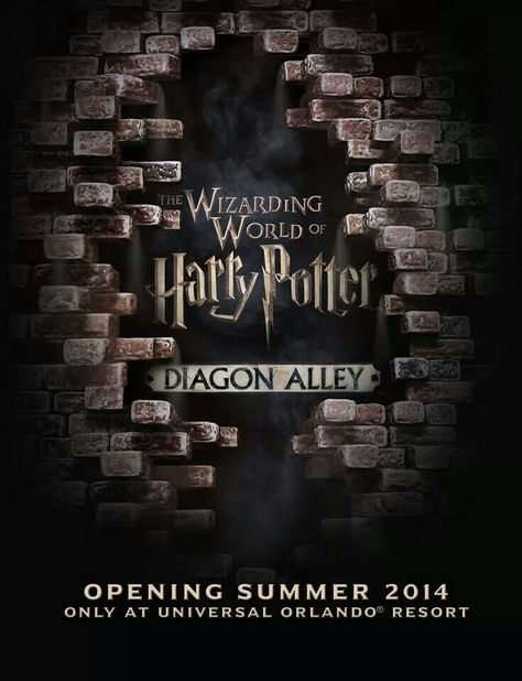 Harry Potter Advertisement, Diagon Alley Brick Wall, Big Paintings, Harry Potter Orlando, Wizard House, Harry Potter Goblet, Universal Resorts, Harry Potter Diagon Alley, Paintings Ideas