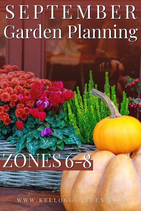 What Can You Plant In September, Zone 6 September Planting, Fall Planting Flowers Zone 7, Zone 8 September Planting, Zone 6 Winter Garden, Planting In September Zone 8, September Garden Planting, Fall Vegetable Gardening Zone 8, Fall Garden Zone 6